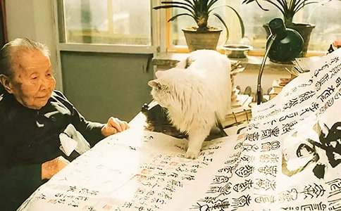 �����������Զ̾��ȫ����ѡ60�䣩