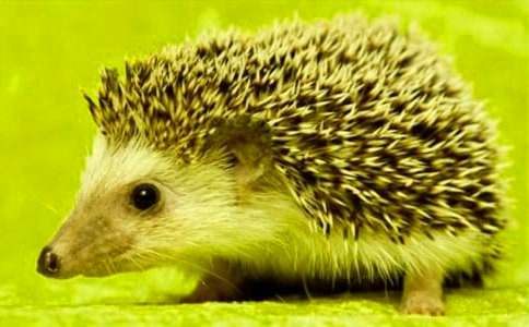 ����ѡ���������400��3ƪ