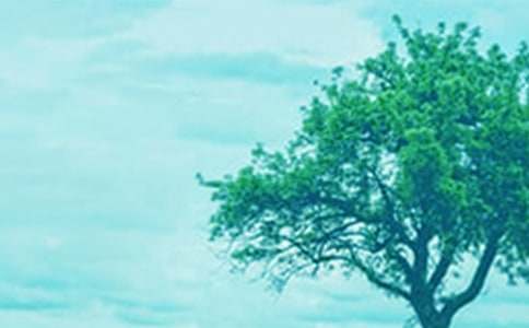 ��������-��������