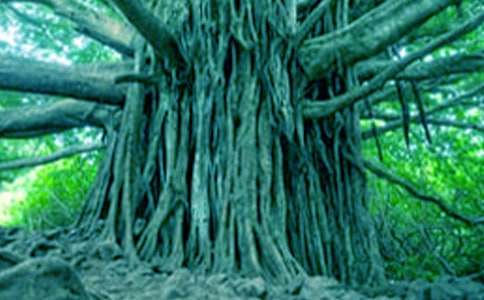 ����������600��3ƪ[����]