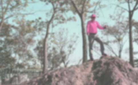 初中生登山游记作文