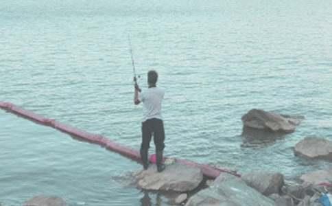 钓鱼的日记(通用40篇)