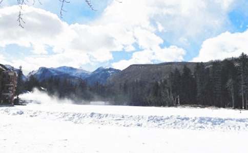 ���������¼ҳ�һ���ţ�ͨ��5ƪ��