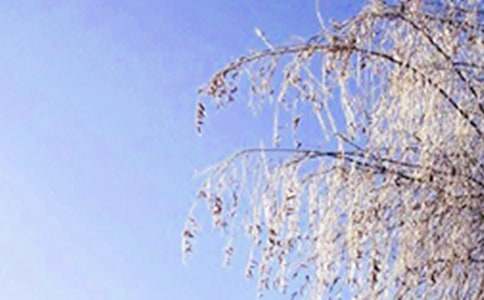 ����д������ͨ��(15ƪ)