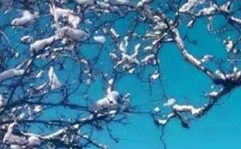 (实用)实用的写景冬天作文4篇