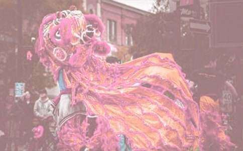 �����š��������������