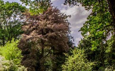 �йط羰�������Ľ���10ƪ