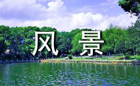 最美的风景记叙文作文1000字