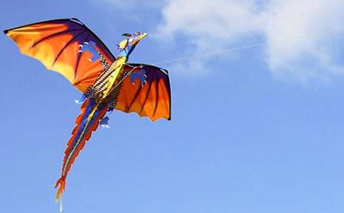 ����ѡ����������300��9ƪ