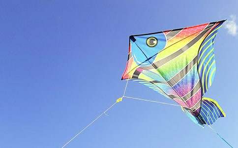 �йطŷ��ݵ��ռ�4ƪ