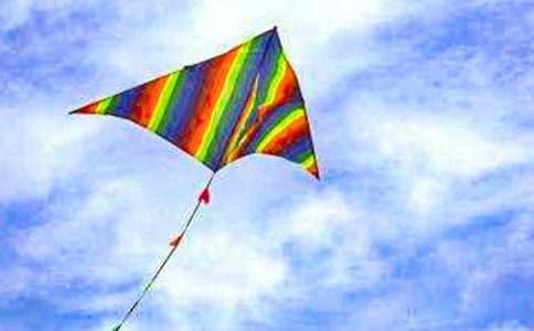 放风筝 - 状物作文300字