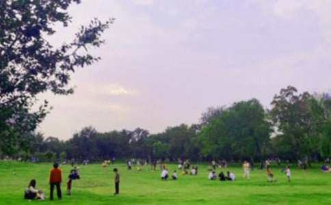 д����԰�����ġ��ر���