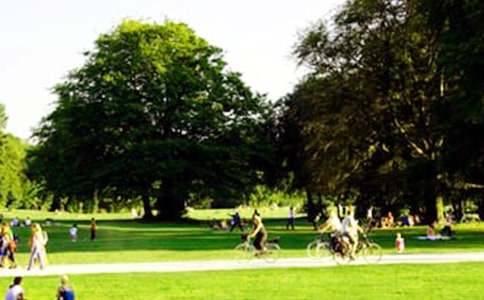 д����԰����7ƪ[����]