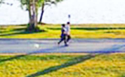 有关公园游记的作文锦集7篇