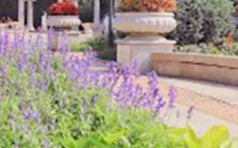 ���ڹ�԰д������600�ֻ��7ƪ