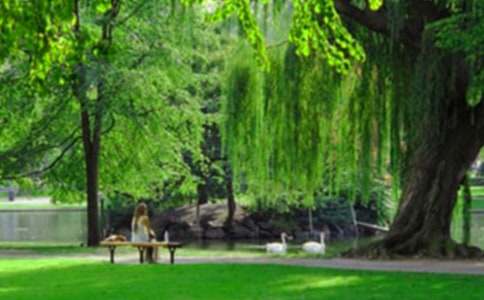 д����԰���ļ���[6ƪ]