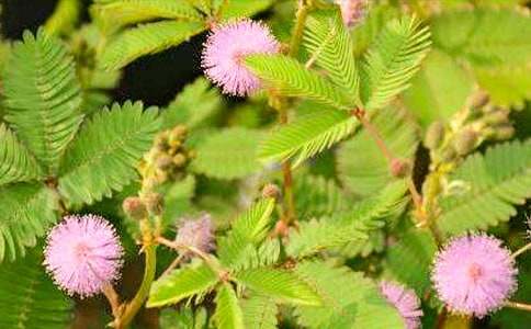 ���߲�����400��