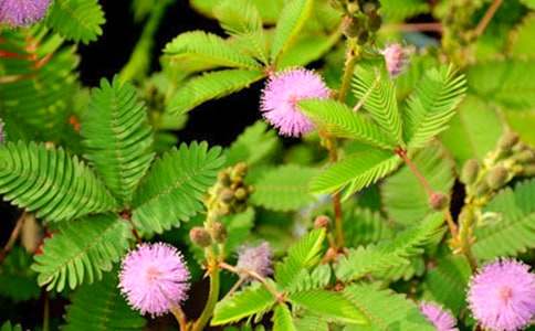 �й����꼶���߲����Ļ���10ƪ