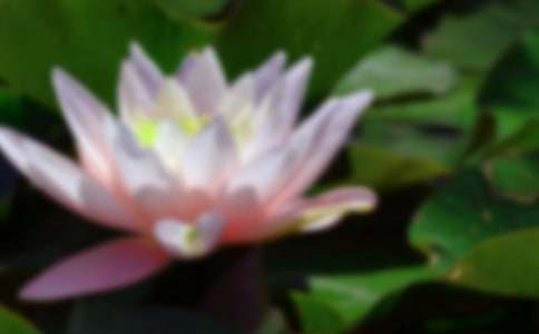 ʵ�õĺɻ�������300��9ƪ