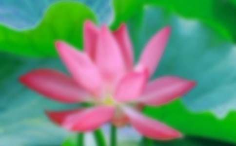 ����Ʒ���ɻ�������300��10ƪ