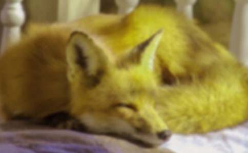 [�Ƽ�]���˲���ĺ���ְ֡������