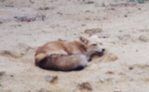 ���ϼ����˲���ĺ���ְֶ����15ƪ