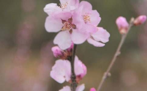 ������Ļ�������1000�֣�ͨ��42ƪ��