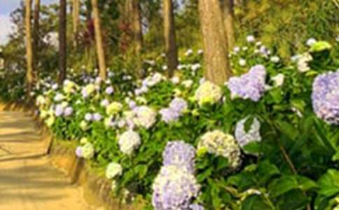 д����԰���ĺϼ���3ƪ��