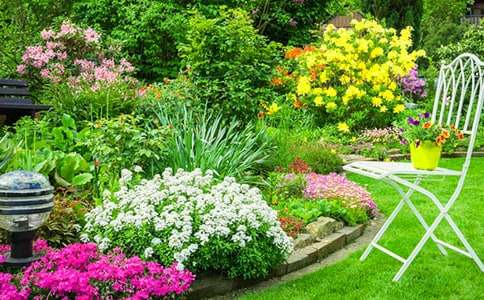 д����԰����9ƪ(����)