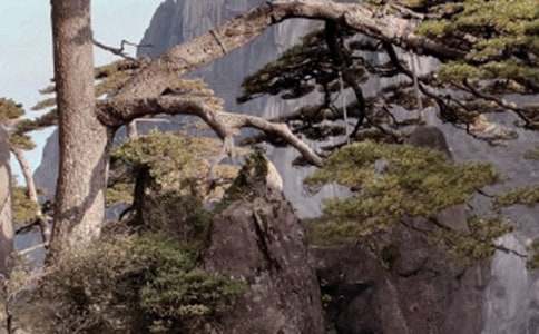 ����ѡ���μǻ�ɽ����600����ƪ