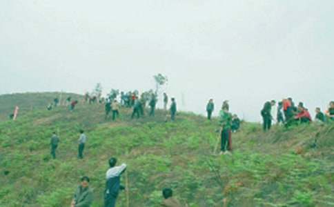 ʵ�õļ�������600��