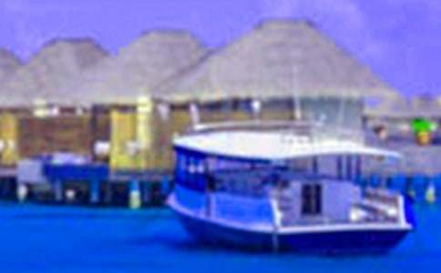 �����ڼ��¼ҳ�һ����15ƪ