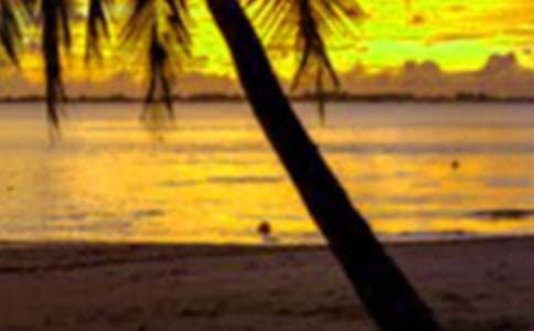 假期安全致家长的一封信(通用8篇)