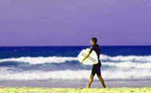 �����ڼ��¼ҳ�һ����(15ƪ)