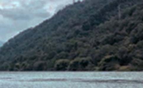 д��ɫ�����ľ���4ƪ