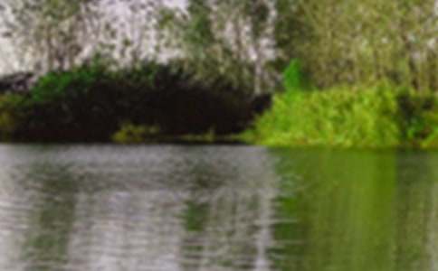 ʵ�õ�д��ɫ������[��ѡ3ƪ]