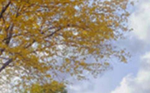 ��д��ɫ���ĺϼ���6ƪ��