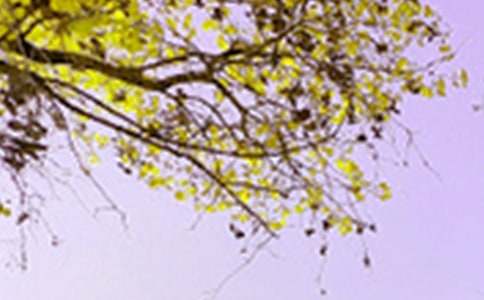 (推荐)描写景色作文6篇