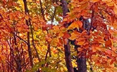 д��ɫ������[��Ʒ4ƪ]