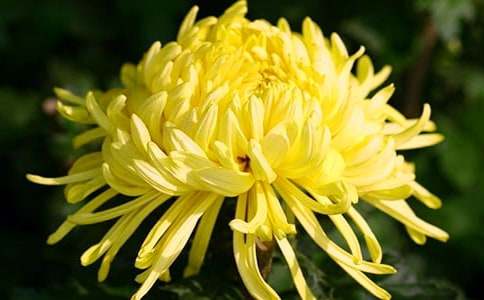 �ջ�״������