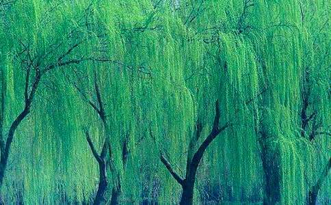 �й��������꼶���ļ���10ƪ