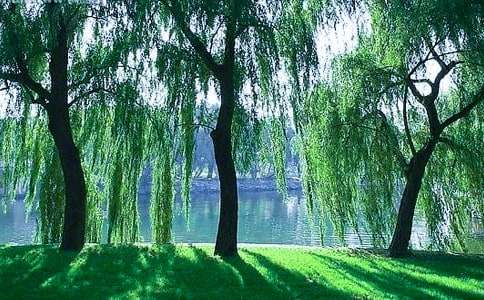 �������������600��