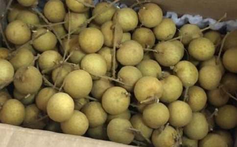 �������������600��3ƪ