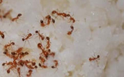 �����ϵ�һ����