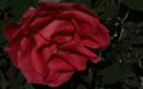 �������õ��-��������