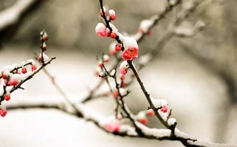 ����ѡ��÷��״������10ƪ