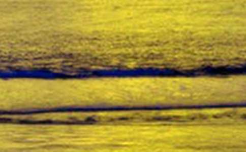 ����д������