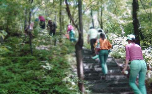 ��ѡ��ɽ�μ����ĺϼ���ƪ