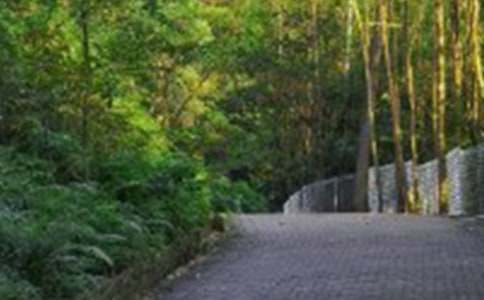 ��ɽ���ռǷ��ļ�����ƪ