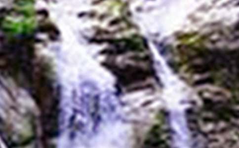 �ƹ����ٲ��μ����ľ���[15ƪ]